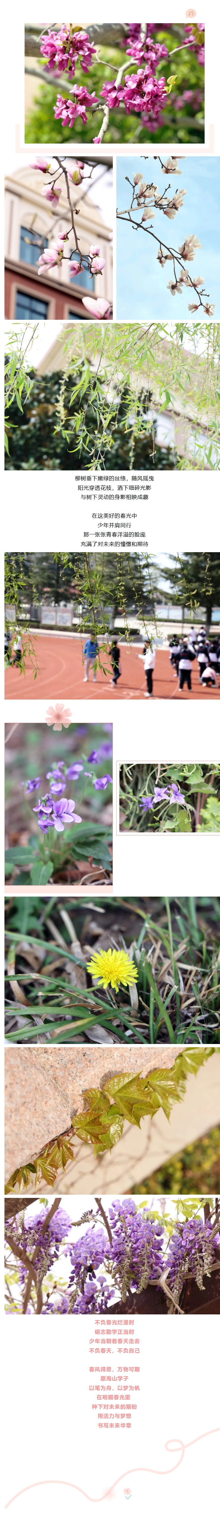 屏幕截图_22-4-2025_112325_mp.weixin.qq.com.jpeg